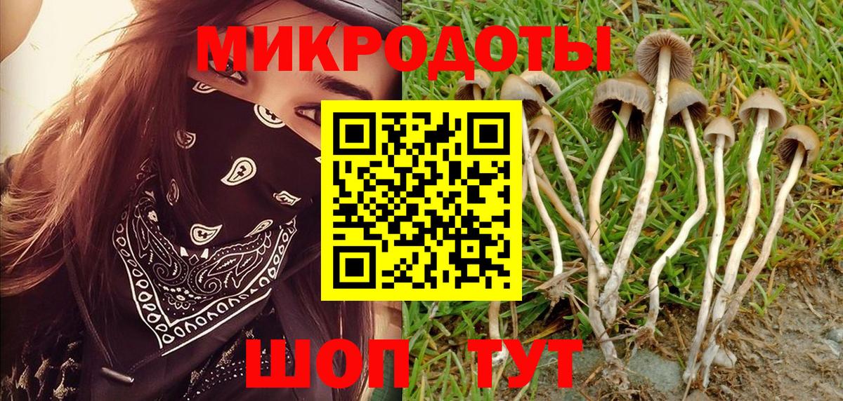 Псилоцибиновые грибы мицелий  Вход с VPN  Верхний Уфалей 